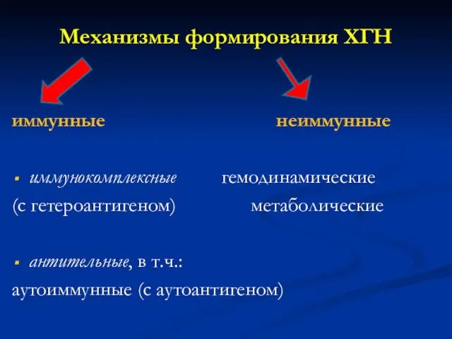 Механизмы формирования ХГН иммунные неиммунные иммунокомплексные гемодинамические (с гетероантигеном) метаболические антительные, в т.ч.: аутоиммунные (с аутоантигеном)