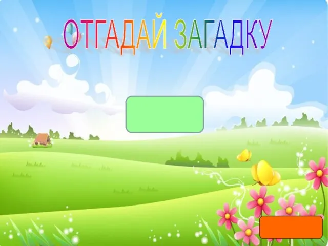 ОТГАДАЙ ЗАГАДКУ