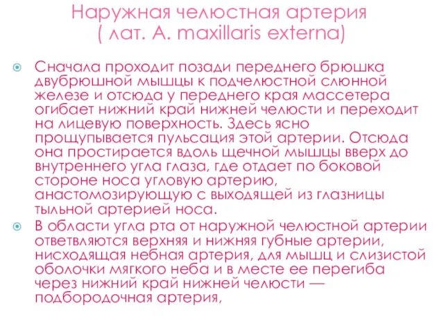 Наружная челюстная артерия ( лат. А. maxillaris externa) Сначала проходит позади