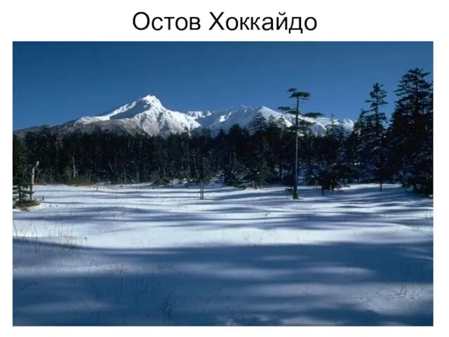 Остов Хоккайдо