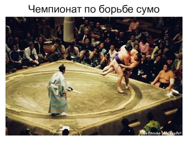 Чемпионат по борьбе сумо