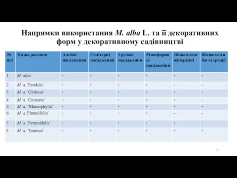 Напрямки використання M. alba L. та її декоративних форм у декоративному садівництві