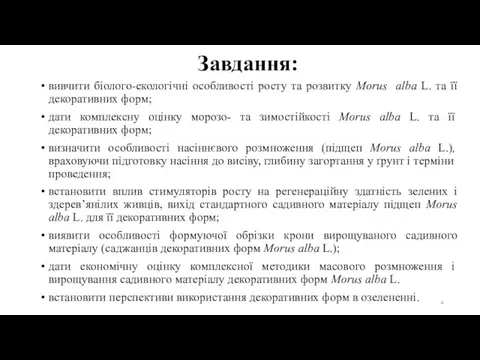 Завдання: вивчити біолого-екологічні особливості росту та розвитку Morus аlba L. та