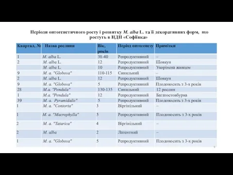 Періоди онтогенетичного росту і розвитку M. alba L. та її декоративних