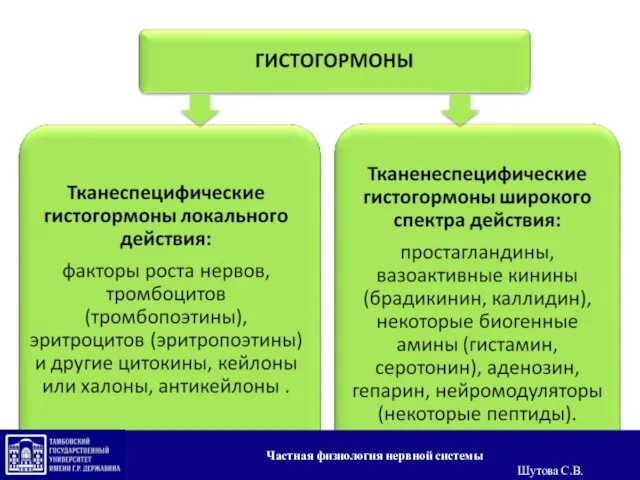 Частная физиология нервной системы Шутова С.В.