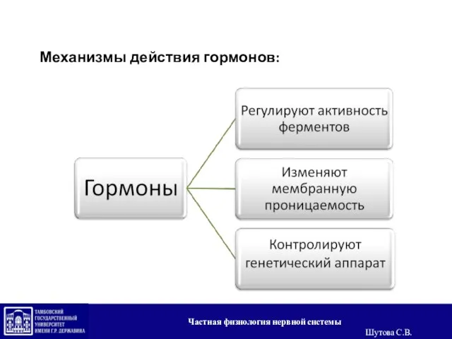 Механизмы действия гормонов: Частная физиология нервной системы Шутова С.В.