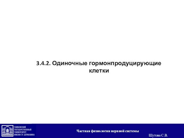 3.4.2. Одиночные гормонпродуцирующие клетки Частная физиология нервной системы Шутова С.В.