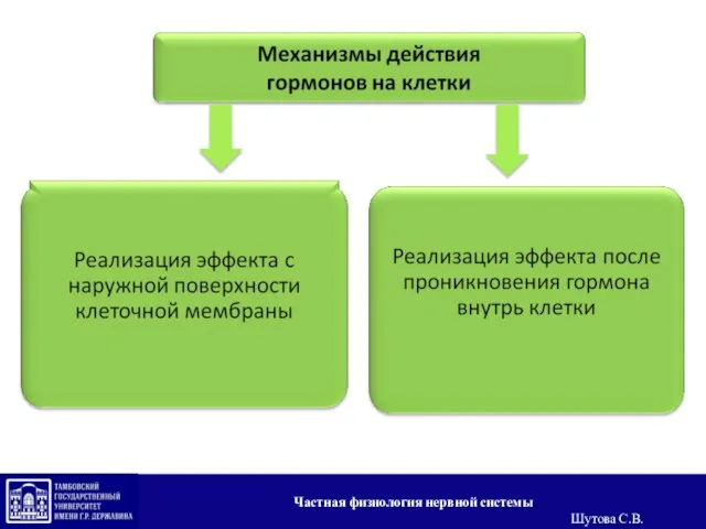 Частная физиология нервной системы Шутова С.В.