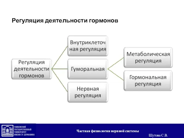 Регуляция деятельности гормонов Частная физиология нервной системы Шутова С.В.