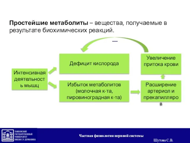 Простейшие метаболиты – вещества, получаемые в результате биохимических реакций. Интенсивная деятельность