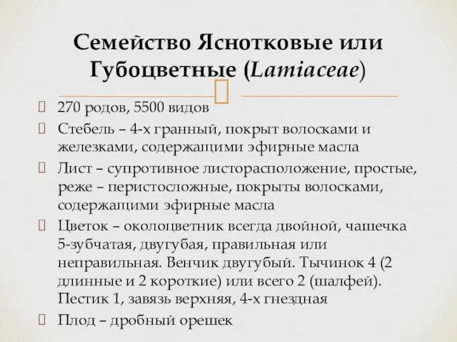 270 родов, 5500 видов Стебель – 4-х гранный, покрыт волосками и