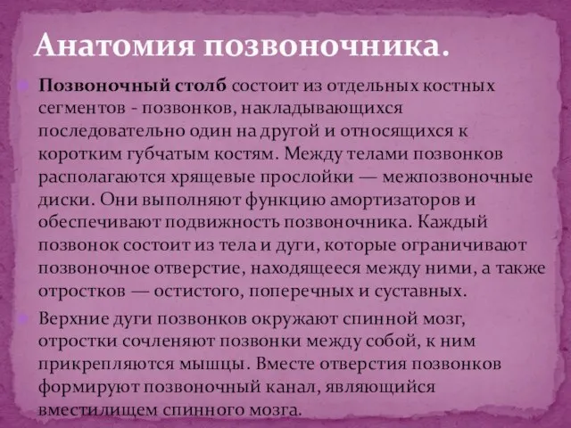 Позвоночный столб состоит из отдельных костных сегментов - позвонков, накладывающихся последовательно