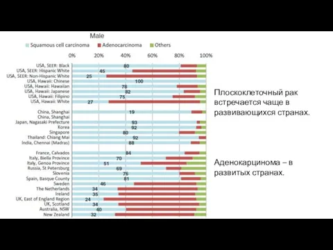 А Плоскоклеточный рак встречается чаще в развивающихся странах. Аденокарцинома – в развитых странах.