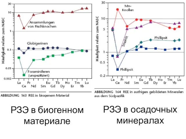 РЗЭ в биогенном материале РЗЭ в осадочных минералах