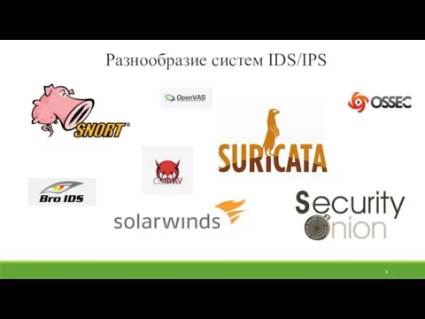 Разнообразие систем IDS/IPS