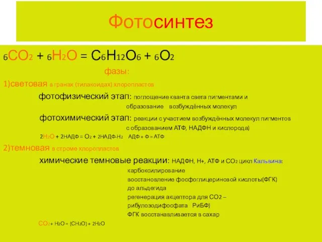 Фотосинтез 6СО2 + 6Н2О = С6Н12О6 + 6О2 фазы: 1)световая в