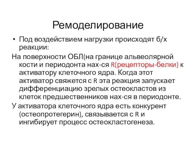 Ремоделирование Под воздействием нагрузки происходят б/х реакции: На поверхности ОБЛ(на границе