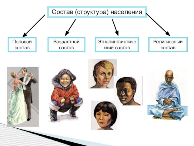 Состав (структура) населения Возрастной состав Этнолингвистический состав Религиозный состав Половой состав