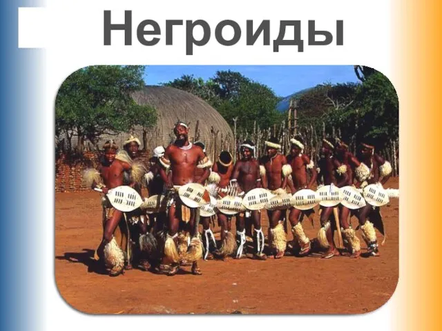 Негроиды