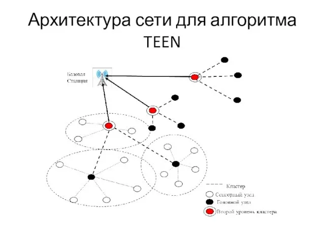 Архитектура сети для алгоритма TEEN