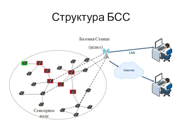 Структура БСС