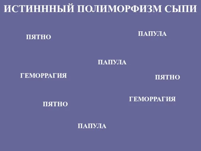 ИСТИНННЫЙ ПОЛИМОРФИЗМ СЫПИ ПЯТНО ПЯТНО ПЯТНО ПАПУЛА ПАПУЛА ПАПУЛА ГЕМОРРАГИЯ ГЕМОРРАГИЯ