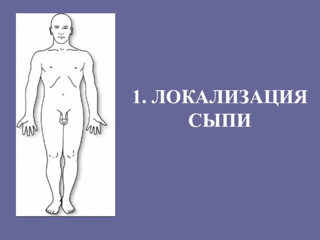 1. ЛОКАЛИЗАЦИЯ СЫПИ