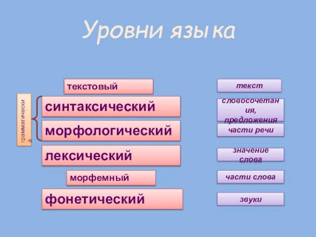 Уровни языка текстовый морфологический лексический морфемный фонетический грамматический синтаксический звуки части