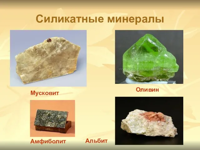 Силикатные минералы Амфиболит Мусковит Оливин Альбит