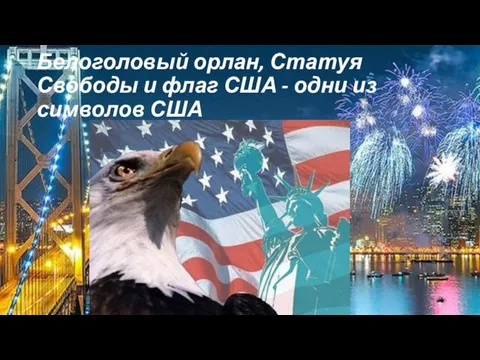 Белоголовый орлан, Статуя Свободы и флаг США - одни из символов США