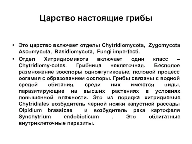 Царство настоящие грибы Это царство включает отделы Chytridiomycota, Zygomycota Ascomycota, Basidiomycota,