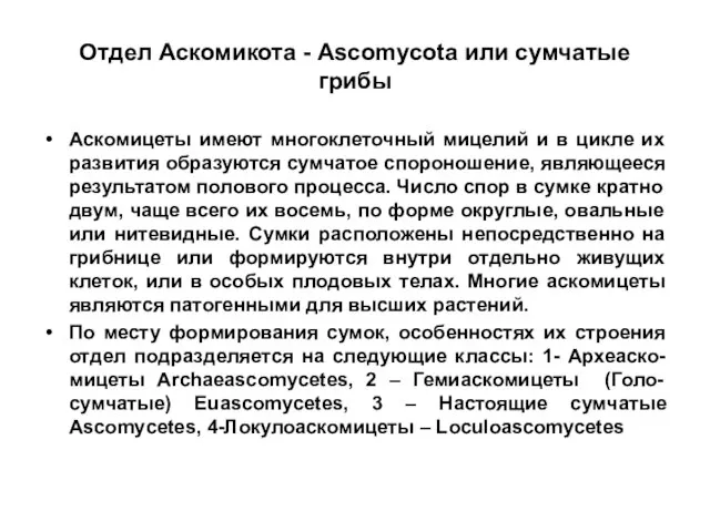 Отдел Аскомикота - Ascomycota или сумчатые грибы Аскомицеты имеют многоклеточный мицелий