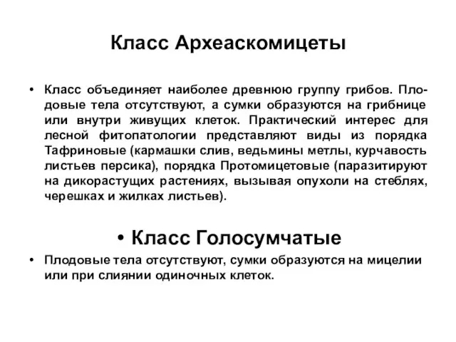 Класс Археаскомицеты Класс объединяет наиболее древнюю группу грибов. Пло-довые тела отсутствуют,