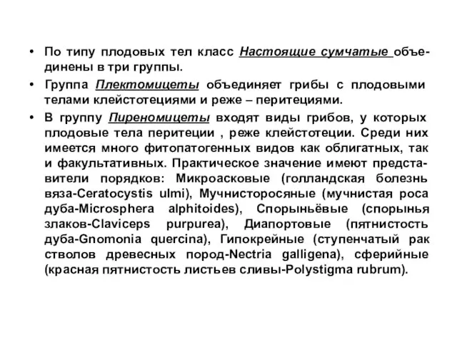 По типу плодовых тел класс Настоящие сумчатые объе-динены в три группы.