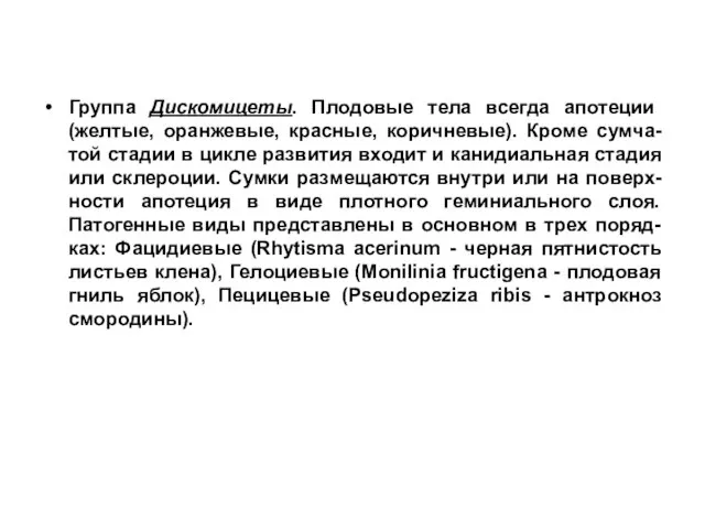 Группа Дискомицеты. Плодовые тела всегда апотеции (желтые, оранжевые, красные, коричневые). Кроме