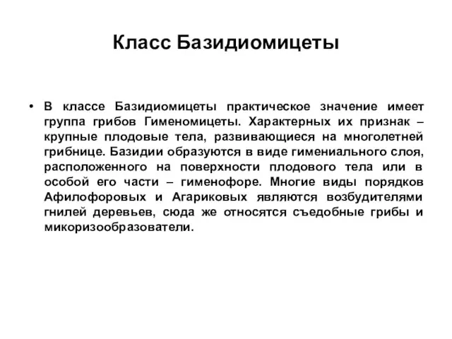 Класс Базидиомицеты В классе Базидиомицеты практическое значение имеет группа грибов Гименомицеты.