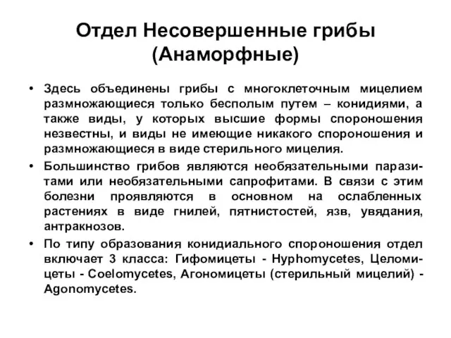 Отдел Несовершенные грибы (Анаморфные) Здесь объединены грибы с многоклеточным мицелием размножающиеся