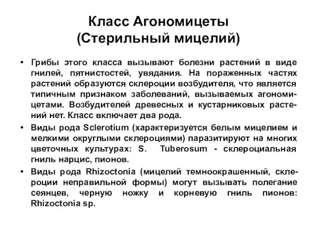 Класс Агономицеты (Стерильный мицелий) Грибы этого класса вызывают болезни растений в