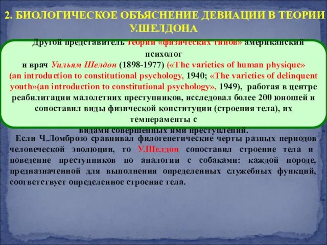 Если Ч.Ломброзо сравнивал филогенетические черты разных периодов человеческой эволюции, то У.Шелдон