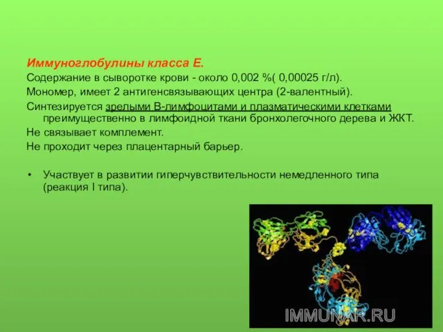 Иммуноглобулины класса Е. Содержание в сыворотке крови - около 0,002 %(