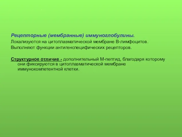 Рецепторные (мембранные) иммуноглобулины. Локализуются на цитоплазматической мембране В-лимфоцитов. Выполняют функции антигенспецифических