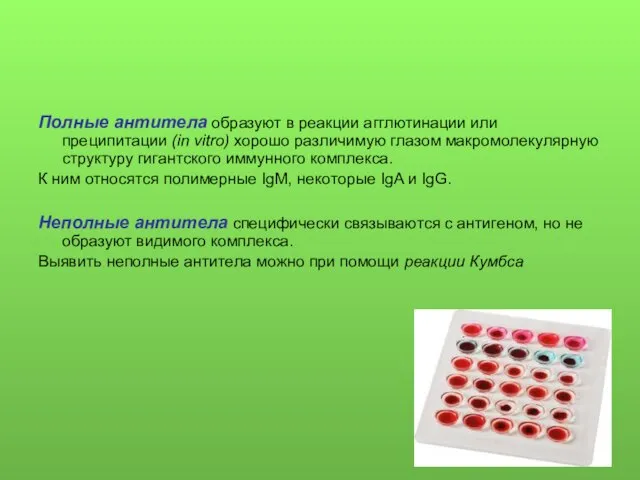Полные антитела образуют в реакции агглютинации или преципитации (in vitro) хорошо