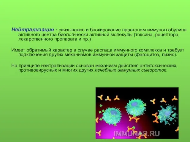 Нейтрализация - связывание и блокирование паратопом иммуноглобулина активного центра биологически активной