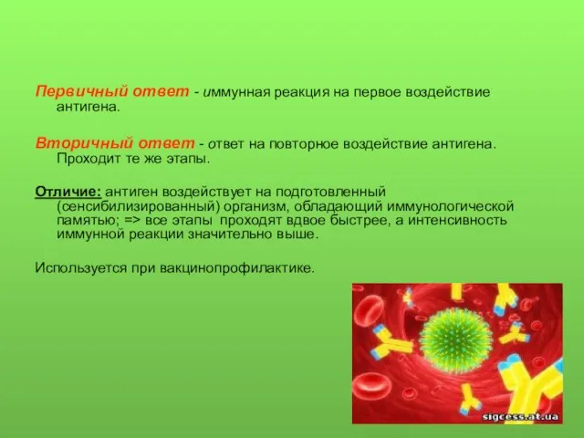 Первичный ответ - иммунная реакция на первое воздействие антигена. Вторичный ответ