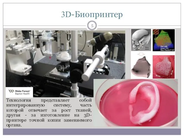 3D-Биопринтер Технология представляет собой интегрированную систему, часть которой отвечает за рост