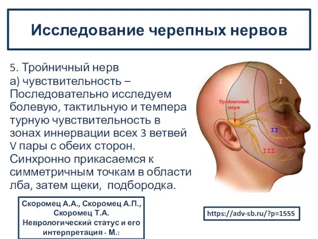 5. Тройничный нерв а) чувствительность – Последовательно исследуем болевую, тактильную и