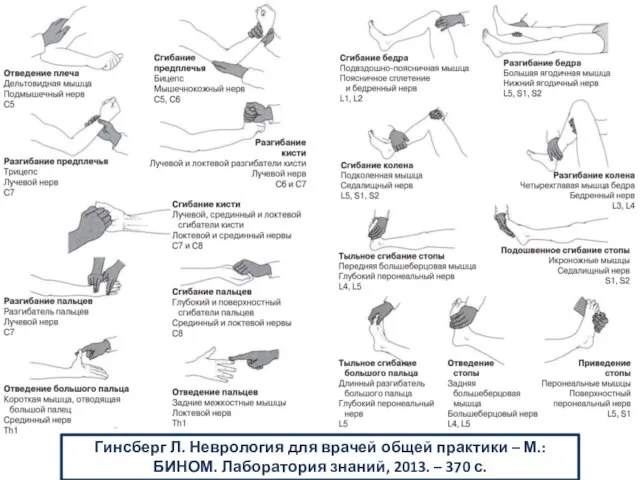 Гинсберг Л. Неврология для врачей общей практики – М.: БИНОМ. Лаборатория знаний, 2013. – 370 с.