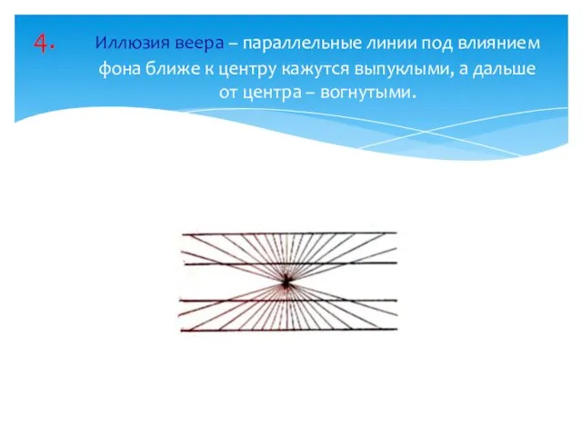 Иллюзия веера – параллельные линии под влиянием фона ближе к центру