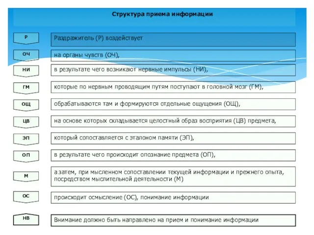 Раздражитель (Р) воздействует на основе которых складывается целостный образ восприятия (ЦВ)