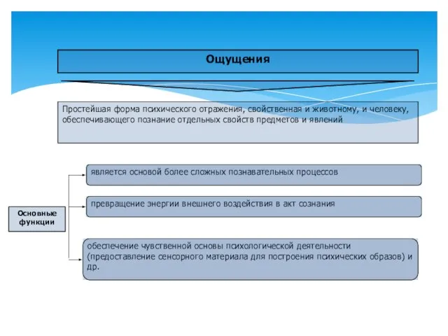 Ощущения Простейшая форма психического отражения, свойственная и животному, и человеку, обеспечивающего